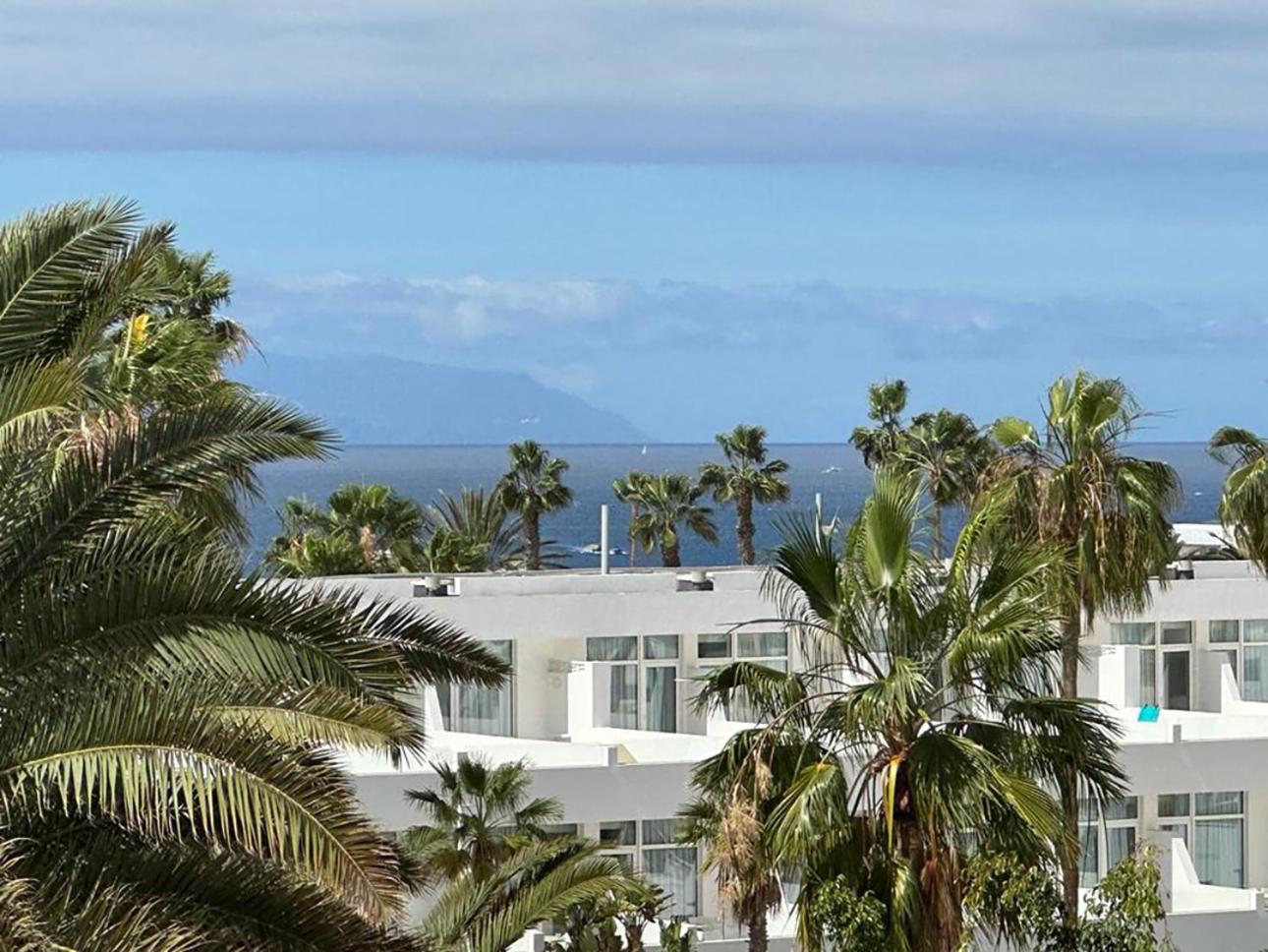 Coconut Apartament In Garden City Playa Fanabe Exterior photo